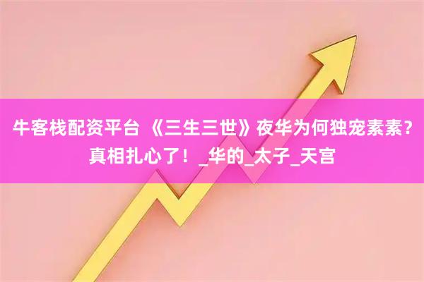 牛客栈配资平台 《三生三世》夜华为何独宠素素？真相扎心了！_华的_太子_天宫