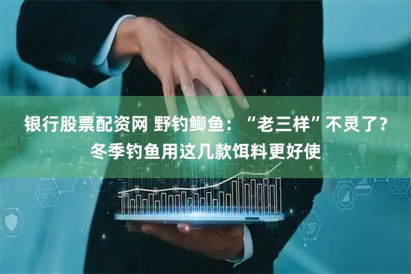 银行股票配资网 野钓鲫鱼：“老三样”不灵了？冬季钓鱼用这几款饵料更好使
