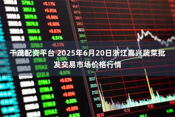 千茂配资平台 2025年6月20日浙江嘉兴蔬菜批发交易市场价格行情